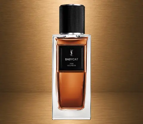 Yves Saint Laurent – Babycat